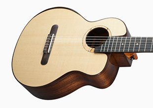 Amazon | aNueNue （ アヌエヌエ ） aNN-MN214 Bird Guitar Series