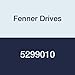 Fenner Drives 5299010 Reinforced V-Belt, Twin, Section Size 3L, 15/16" Top Width, 100