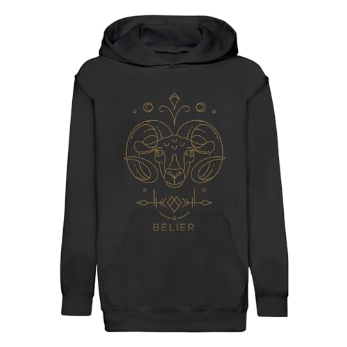Sweat enfant Bélier astrologie cadeau d'anniversaire zodiaque original