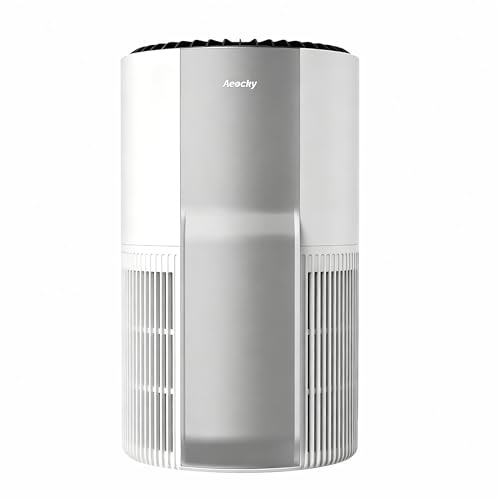 AEOCKY 4200 ft² Whole-House Air Purifier