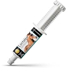 Lactalex Equine Muscle Function and Lactic Acid Recovery Support Paste for Horses, 60cc