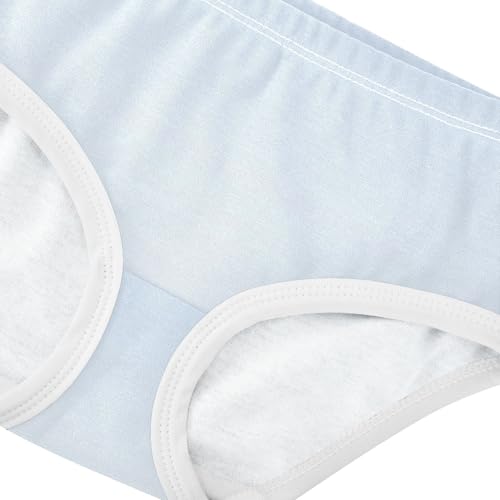 Joisal Designer Toddlers Underwear Floral 2t Cotton Little Girl Panties Ombre Powder Blue Underpants Briefs4