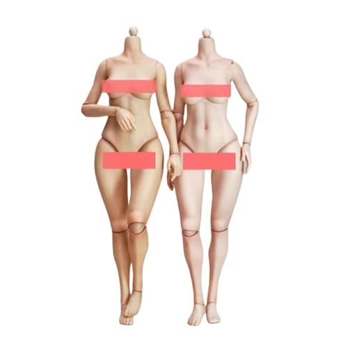 Figurines d'action féminines 1/6 EC3025 pour collectionneur