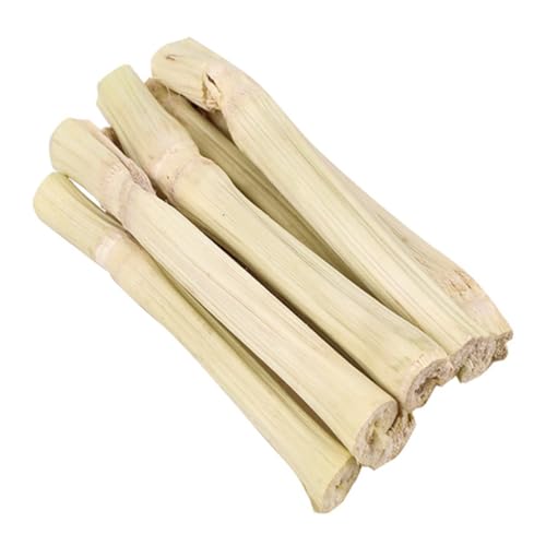 BAZEITFLOW VR|ybgp_ p  nX^[  bgΉ Y XgXpi