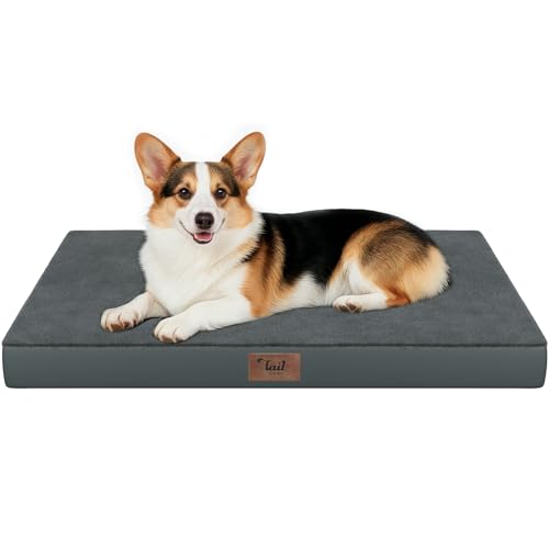 Image of Outdoor Waterproof Orthopedic Dog Bed for Large Dogs | Egg Crate Foam for Joint Support, TPU Waterproof Layer, Machine Washable 1680D Oxford Cover, 36 x 27 Inch, Up to 65 lbs