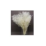 Pandecor