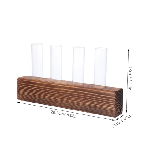 Jarrón hidropónico de vidrio Mobestech para plantas sin ensuciar la mesa 3