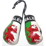 Wales - Mini Boxing Gloves