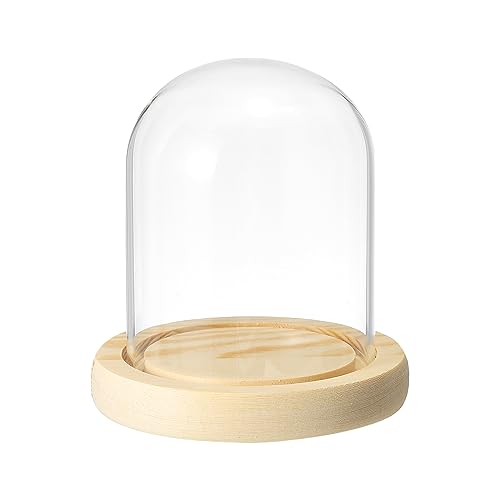 PATIKIL 3.9x3.1 Transparente Campana Cristal Cúpula, Vidrio Campana Tarro Expositor Estuche Mesa Centro con Madera Base para LED Luz Plantas Hogar Decoración