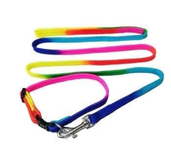 Toms Pet Mall 10mm Rainbow Color Designed Belt for Your Puppy & Small Dog Collar Belt, Dog Collar & Leash (Small, Multi Color)