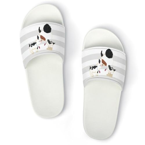 [UXG] T_ ܂̂ Xbp  Y fB[X 킢 ~ V[T_ qp X|[cT_ T_ lC [T_ oXXbp LN^[ [V[Y  y p