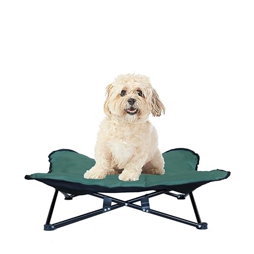 pxbh hbORbg OYANTEN  xbh ybgxbh AEghA Lv o ܂肽 􂦂 xbh nʂ痣 sNjbN (M)