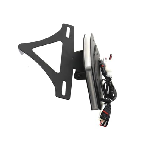Support plaque immatriculation moto avec feu arrière et clignotants intégrés pour S1000RR 2020-2024