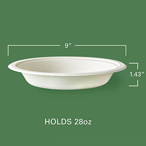 Hefty Ecosave Compostable Paper Bowls, 28 Ounce, 15 Count, Pack Of 12 #TOP2
