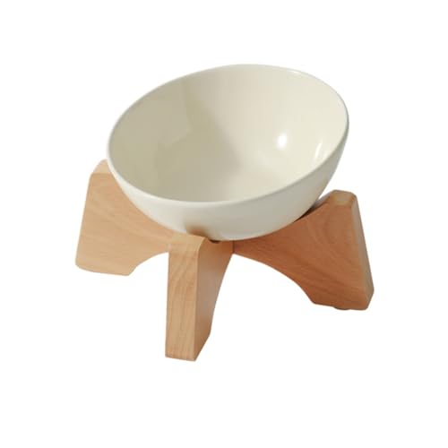 Lp΃RGT300mlؐX^htHڂye (xx{E+ui̔~`t[iCgx[Wj)