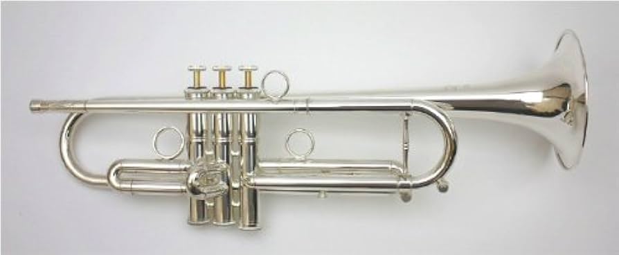 エリック・ミヤシロ氏選定品】Queen Brass ZORRO トランペット