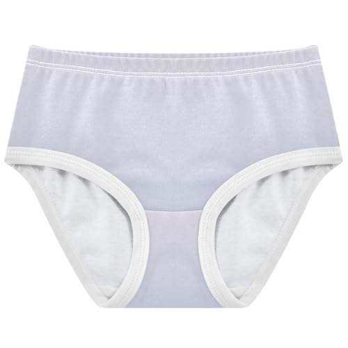 Joisal Artistic Girls Underwear Toddlers 2t Cotton Little Girl Panties Ombre Powder Blue Gradient Briefs Kids Undies
