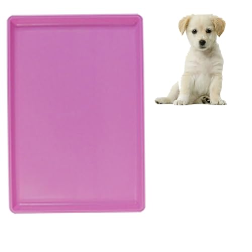 pN[gppgC ybgP[WpN[g Hו̂ڂh H􂢋@Ή sN 49.5X33.5X2.5CM