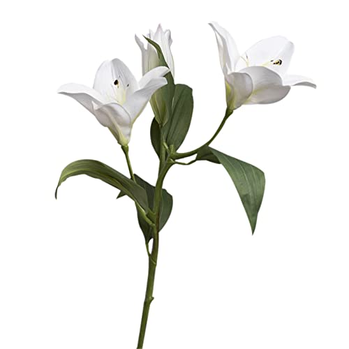 hCt[ hV̓ ԑ    v[g  L[sbg  ̉ av[g lC ~  LO 搶̓ p CeA v[g (zCg)