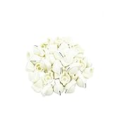 HYTROVE ギター用コントロールアンプノブ 24個セット プラスチック製ホワイト ギター ベース アンプ部品 6mmシャフト径対応 交換用アクセサリー