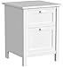 Bush Furniture Broadview 2 Drawer File Cabinet in Pure White