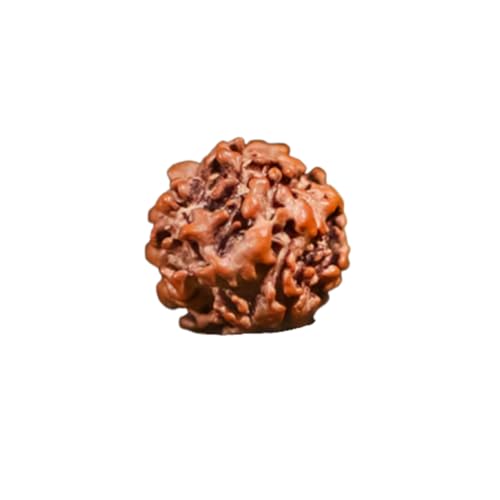 Image of Divine Hindu Nirakar (Zero Mukhi) Rudraksha | Rare Natural Rudraksha Bead | Original Rudraksha for Moksha, Spiritual, Meditation, Healing, Protection & Energy Balance & Positive Vibes