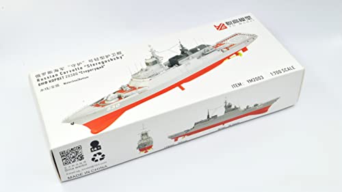 Marine russe Steregushchy 1/700 kit résine : pour diorama naval et collectionneur