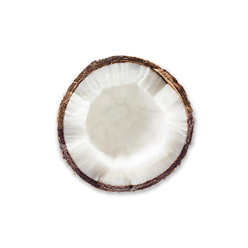 WET N WILD Photo Focus Primer Water - In Love With Coco