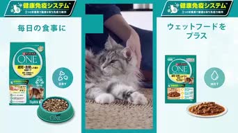 Amazon.co.jp: Purina One: 【12/7開始】期間限定！“ピュリナ ワン”お