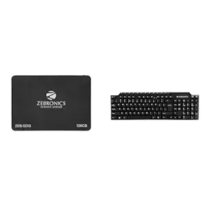 ZEBRONICS SD13 128GB SSD,Ultra Low Power Consumption, S.M.A.R.T. Thermal Management and Silent Opera