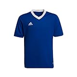 camisetas deportivas para hombres adidas Tejido ligero y suave adidas ENT22 JSY Y T-Shirt, Unisex Kids, Team Royal Blue, 1314