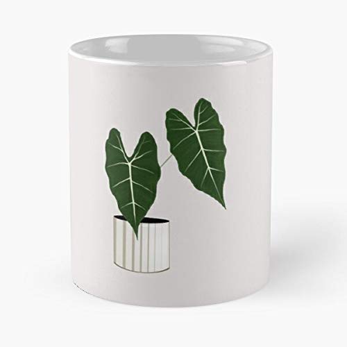 Alocasia House Plant Classic Mug - Mugs 11 Oz Dunder Mifflin Funny Coffee For Holidays.
