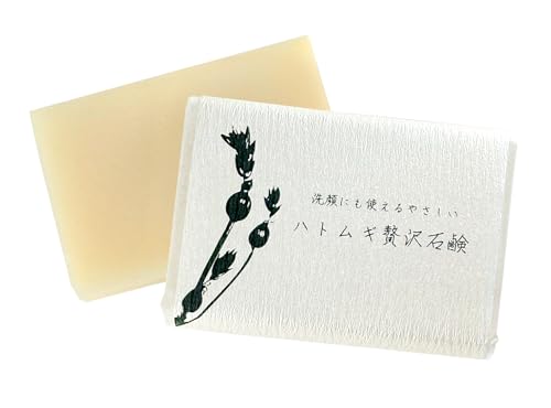 zܔ_ ngMґΌ ͂Ɣ NCj  YiEh܁Eۑj ێ q  Sg R[hvZX@ 