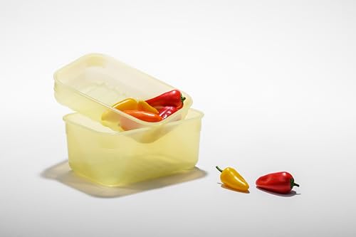Image of LocknLock Fresh-Block Plastic Food Storage Container | Produce Storage Containers for Fridge | Vegetable & Fruit Storage Containers for Fridge, Storage, Microwave & Dishwasher Safe, 3.2L