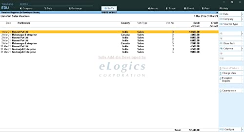 ELOGICS CORPORATION Country wise Sales & Outstanding Analysis - Tally Add-On (E-mail Delivery - No CD) - Multi User - Image 3