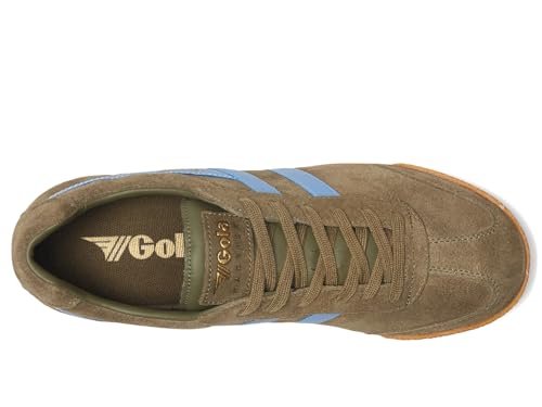 Image of Gola Harrier