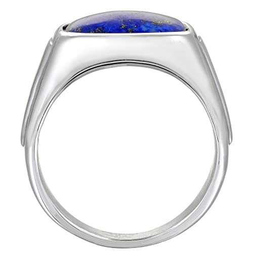 Metro Jewelry Black Onyx or Lapis Lazuli Rounded Rectangle Ring for Men in Stainless Steel with Black Ion Plating - 16 MM Wide - Size 102