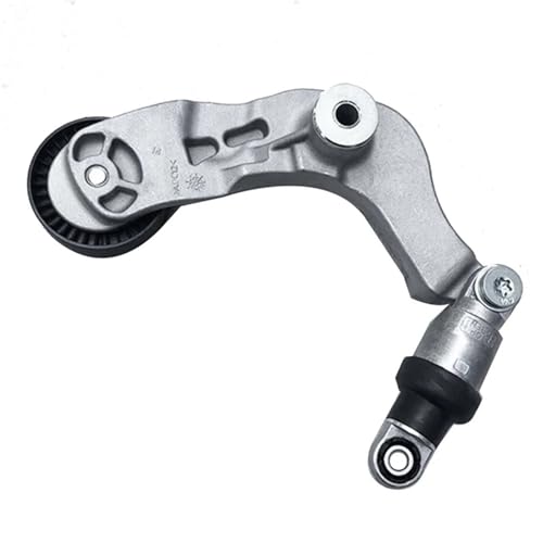 Courroie auxiliaire résout sifflement moteur SsangYong II 2.0 tendeur 17220-00170 - 4