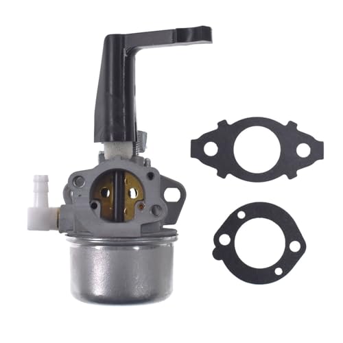 Carburateur pour tondeuse Briggs Stratton 696065 et 697422 avec joint