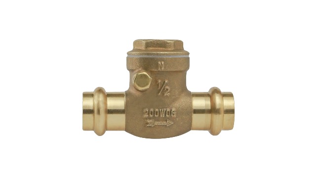 Amazon.com: Midline Valve 622S234 Swing Check Valve, Backflow