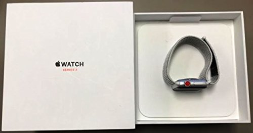 silver aluminum seashell sport loop