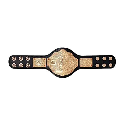 WWE Authentic Wear World Heavyweight Championship Mini Replica Title Belt Multi