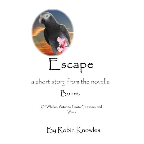 Escape by Robin Knowles episode artwork