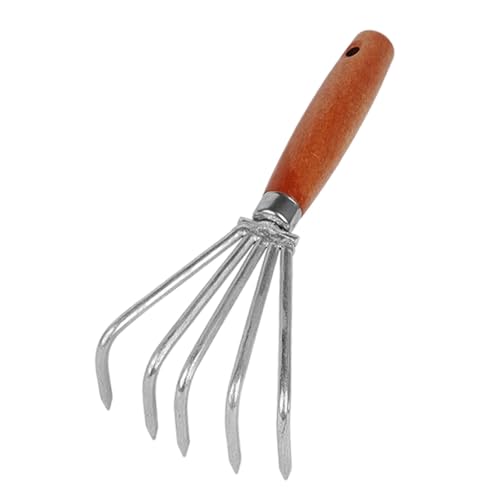 f 莝[L y A  k^@ Cӂ̒̎Ő??p