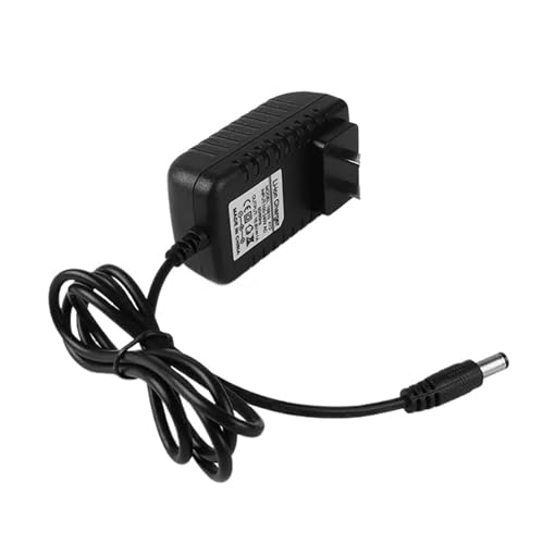 Adattatore di alimentazione switching DC 28V 0.45A28V AU