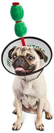dog martini cone