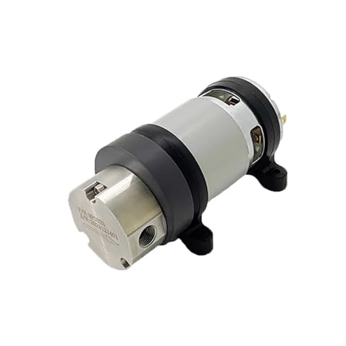  LeTkingok Micro Pompa a Ingranaggi CC 24V, Pompa Dosatrice Ad Alta Precisione in Acciaio Inossidabile per Uso Alimentare Resistente Alla Corrosione Pompa di Aspirazione Liquidi 0,65ML/R