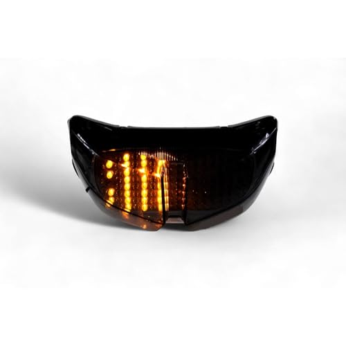 Luz trasera de freno y señal de giro para moto FZ1 2006-2015 y FZ8 5
