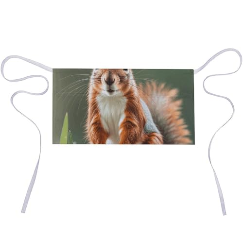 DJUETRUI Cute Squirrels Adjustable for Women Men with Pockets Extra Long Lab Apron Butcher Apron Oxford Cloth Cotton Apron for Kitchen Cooking Baking