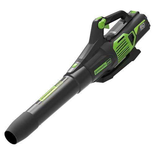 Greenworks 60V Laubbläser 209 km/h - Ohne Akku GD60AB